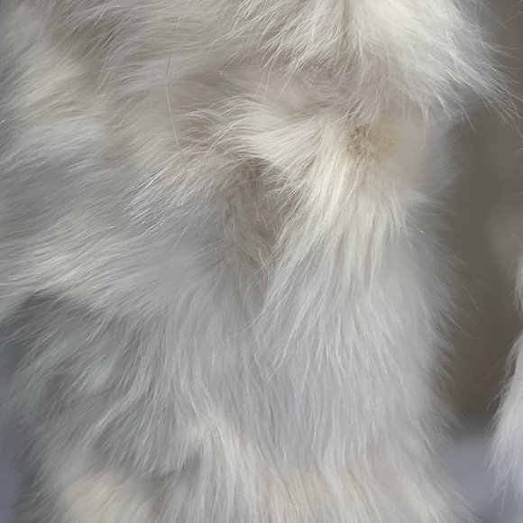 Luxurious Genuine Fur Scarf - Picture 4 of 11